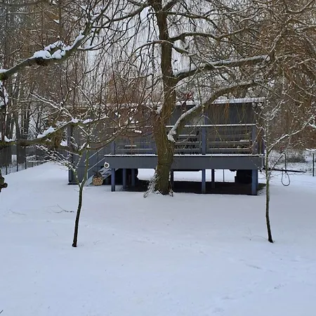 Tiny House & Alpaka-erlebnis Im Ruhner Land - Naturidylle Pur